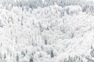 Rennsteig Chalet Toni Ferienhaus Thueringer Wald im Winter