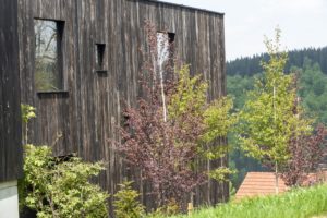 Rennsteig Chalet Toni Thüringer Wald Aussenansicht